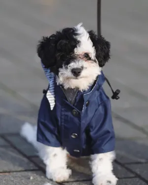 Blue Dog Raincoat with Inner Stripe cotton lining