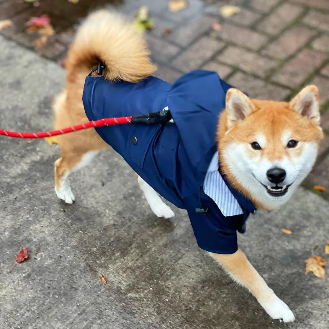 Blue Dog Raincoat with Inner Stripe cotton lining