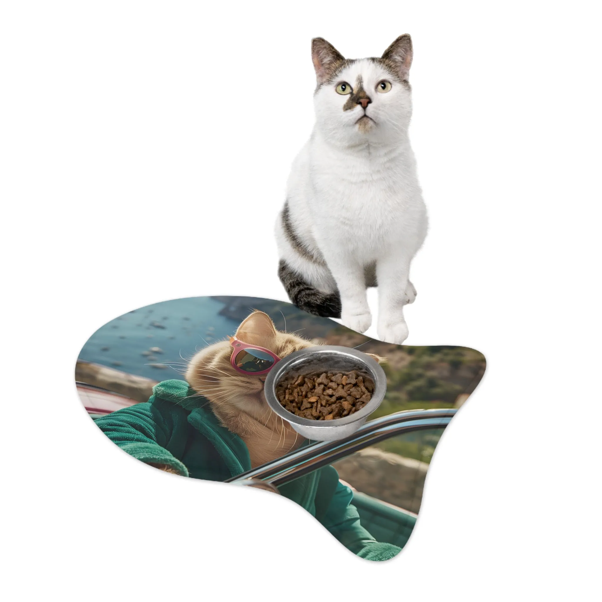 Cat in Sunglasses Pet Feeding Mats - 3 Sizes