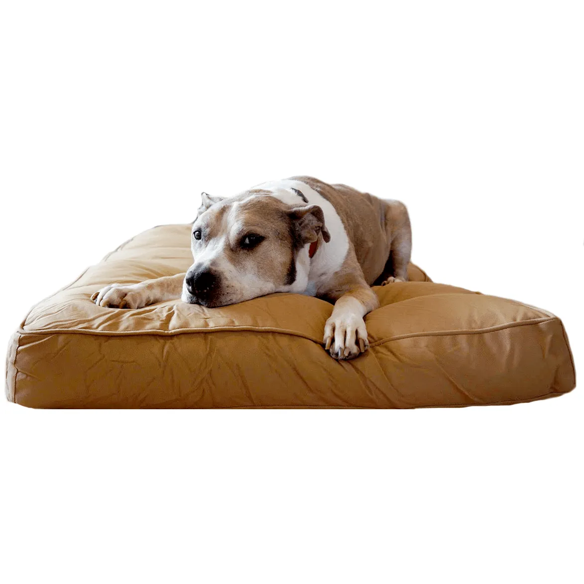 Chew Proof Dog Bed (with a 200 Day Guarantee)