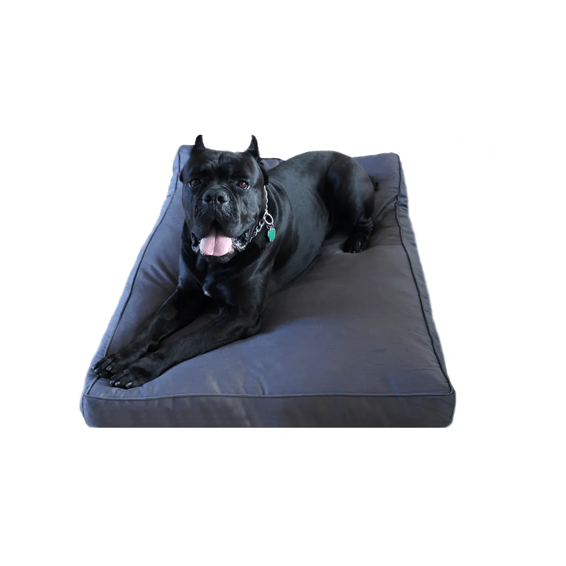 Chew Proof Dog Bed (with a 200 Day Guarantee)