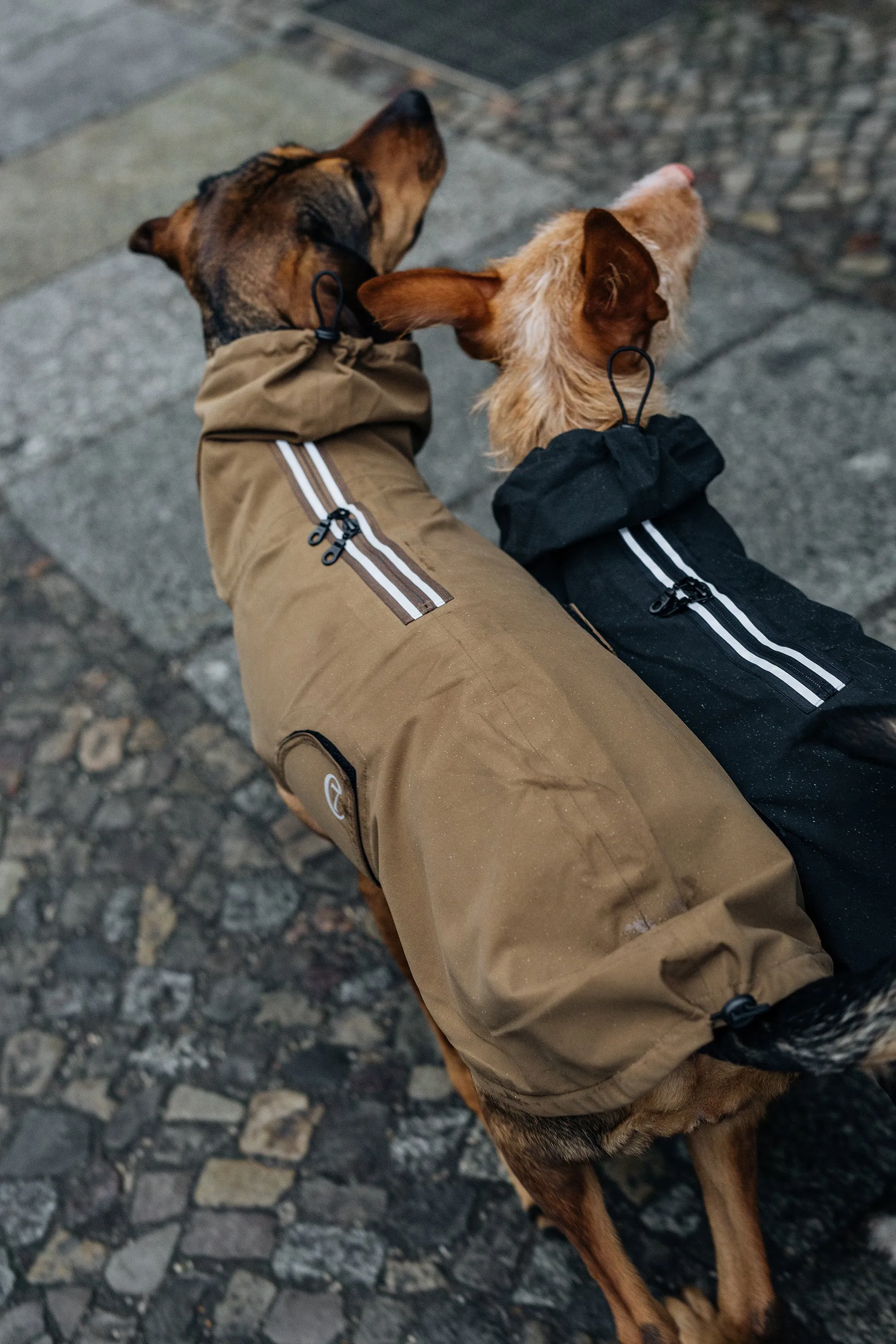 Cloud7 Dublin Dog Rain Coat, Sienna