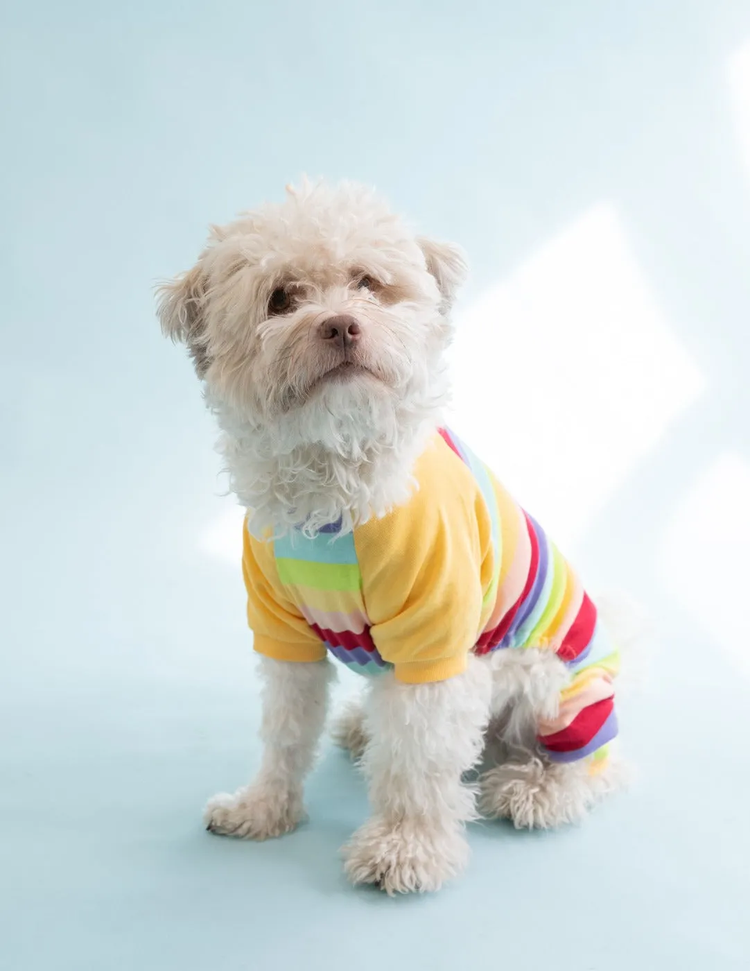 Dog Cotton Rainbow Girl Stripes Pajamas