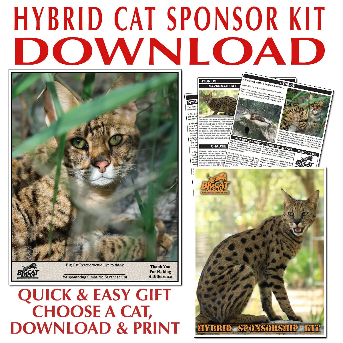 Download - Hybrid Sponsorship