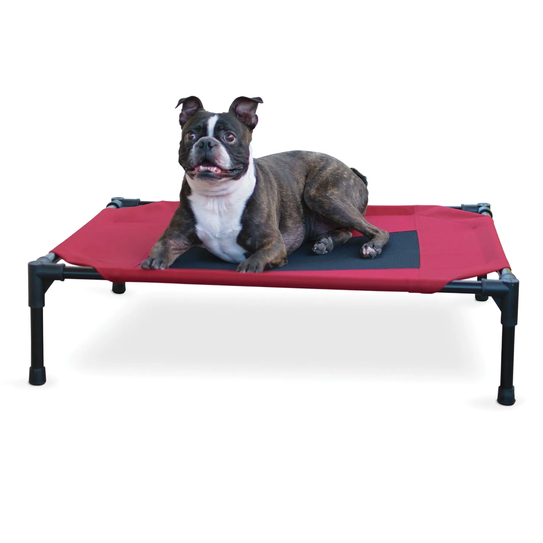 Elevated Dog Bed, Medium