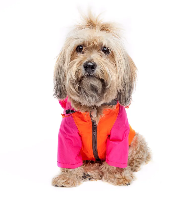 Nylon Colorblock Dog Rainbreaker in Neon Pink   Orange (Exclusive to DOG & CO.)