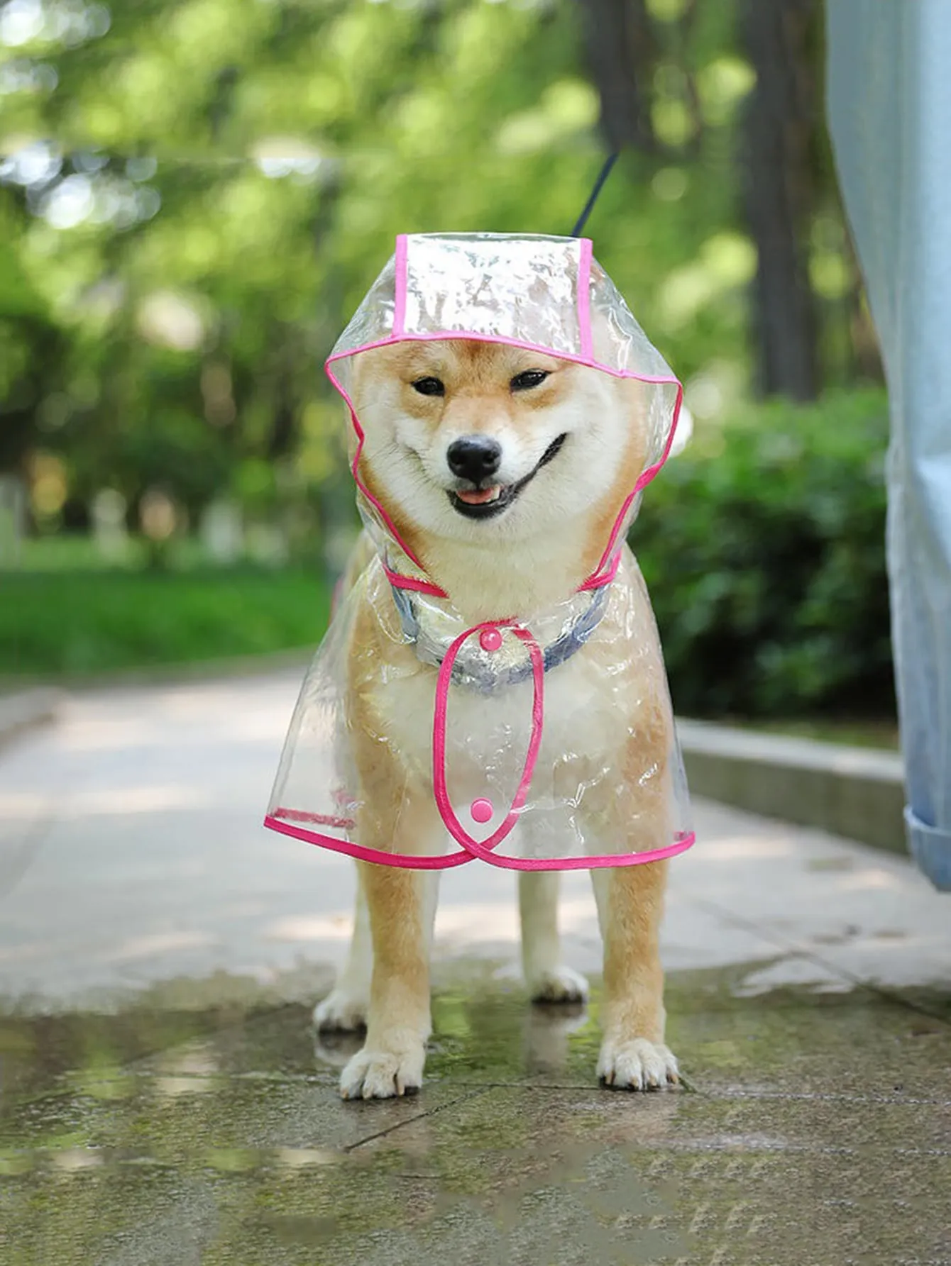 Pu Waterproof Pet Jacket, Transparent Pet Raincoat, Fashionable Full Coverage Dog Raincoat For Outdoor Activities