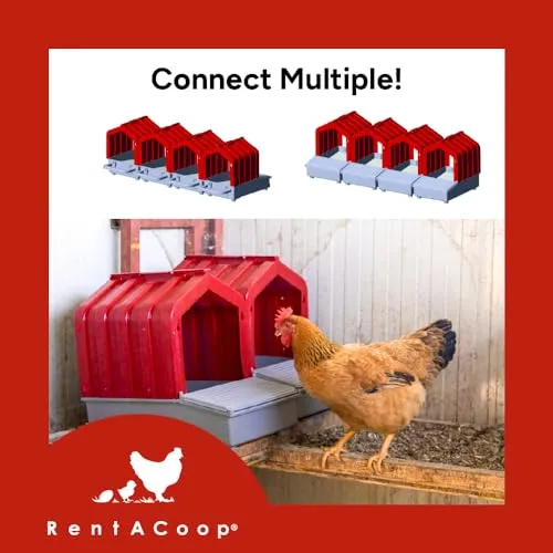 RentACoop Mobile Hen Den Roll-Out 1-Hole Chicken Nesting Box with Legs for Chicken Coop