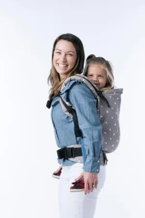 Sleepy Dust Tula Toddler Carrier