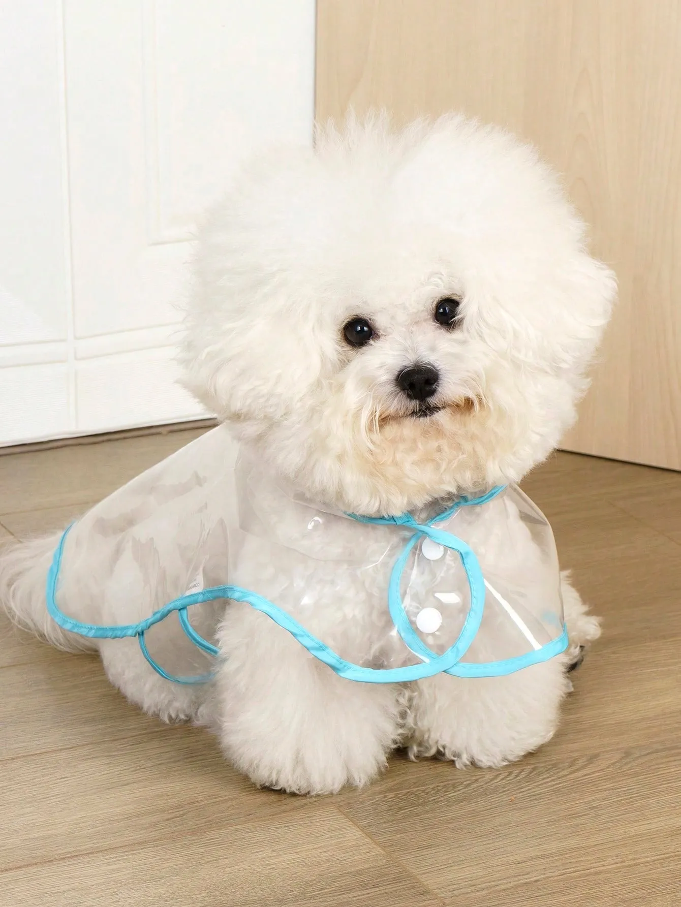 Transparent Blue Waterproof Raincoat With Trim For Dogs And Cats To Wear When It Rains And They Go Out