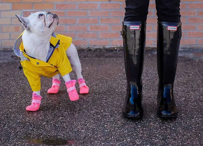 Yellow Dog Raincoat with Inner Stripe cotton lining