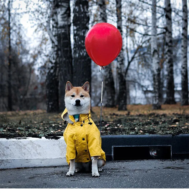 Yellow Dog Raincoat with Inner Stripe cotton lining