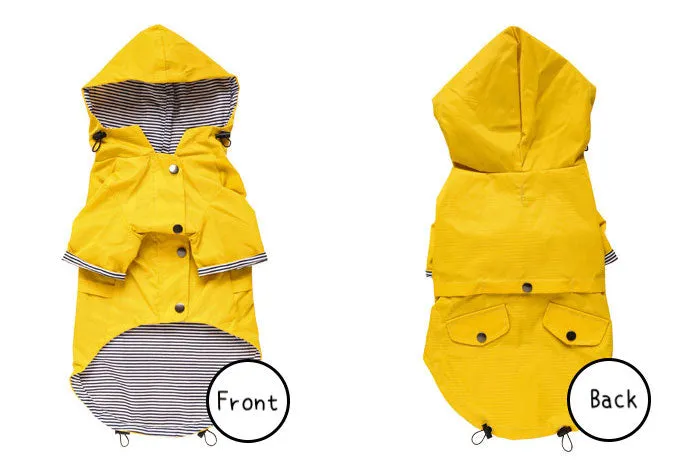 Yellow Dog Raincoat with Inner Stripe cotton lining